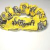 Hufflepuff House Magic Harry Potter